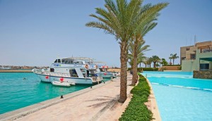 Diving in Marsa alam