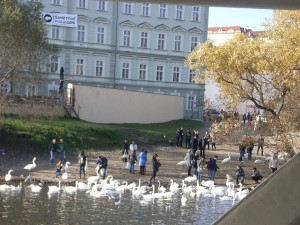 Sakura Travel, mystical & magical Prague tour Packages