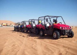 Siwa and Spa Safari