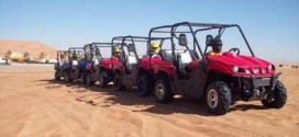 The Treasure of Desert (Siwa Oasis) Safari activity