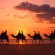 Safari (El Bahariya Oasis – Black & White Desert – El-Farafra Oasis) Safari activity